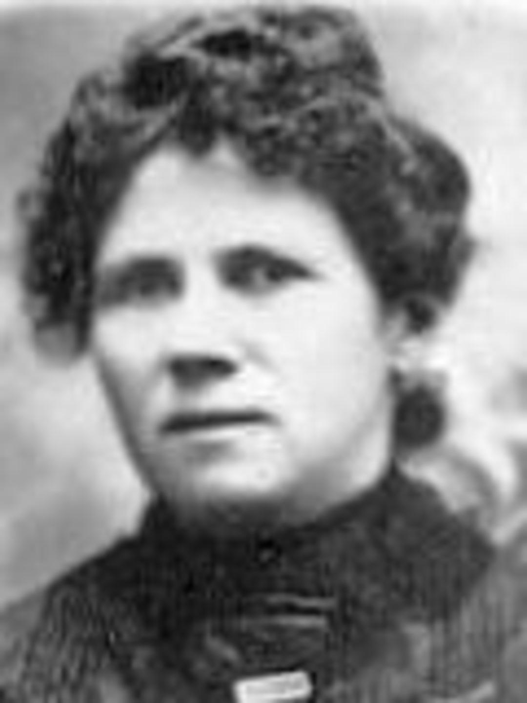 Inger Elizabeth Johnson (1856 - 1941) Profile